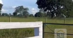 Excelente Fazenda à Venda 681 Alqueires Casa Sede e Pista de Pouso | Pintópolis/ MG Excelente Fazenda à Venda 681 Alqueires Casa Sede e Pista de Pouso | Pintópolis/ MG