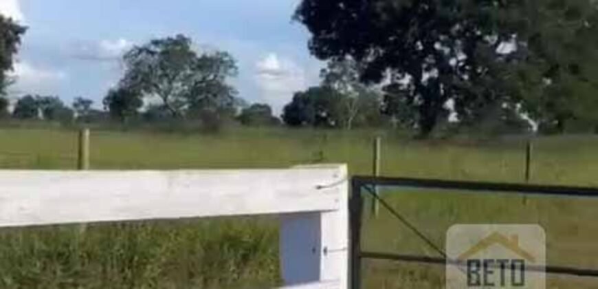 Excelente Fazenda à Venda 681 Alqueires Casa Sede e Pista de Pouso | Pintópolis/ MG Excelente Fazenda à Venda 681 Alqueires Casa Sede e Pista de Pouso | Pintópolis/ MG