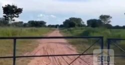 Excelente Fazenda à Venda 681 Alqueires Casa Sede e Pista de Pouso | Pintópolis/ MG Excelente Fazenda à Venda 681 Alqueires Casa Sede e Pista de Pouso | Pintópolis/ MG