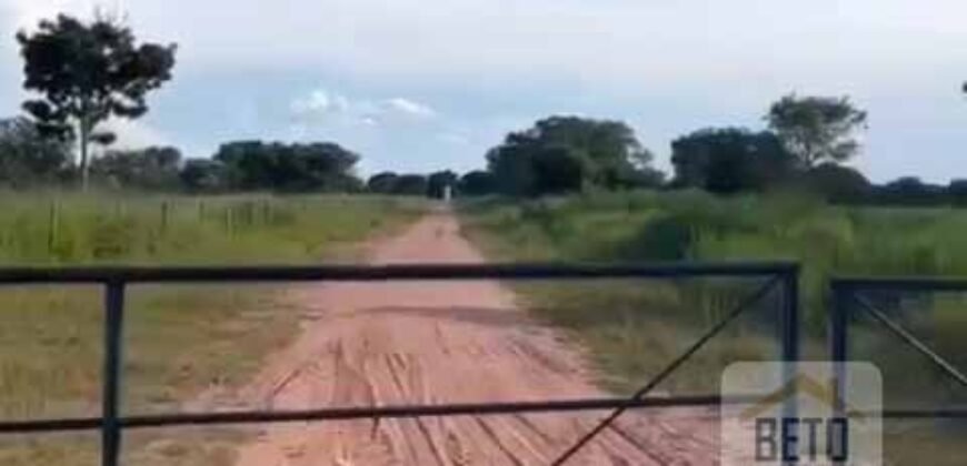 Excelente Fazenda à Venda 681 Alqueires Casa Sede e Pista de Pouso | Pintópolis/ MG Excelente Fazenda à Venda 681 Alqueires Casa Sede e Pista de Pouso | Pintópolis/ MG