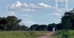 Excelente Fazenda à Venda 681 Alqueires Casa Sede e Pista de Pouso | Pintópolis/ MG Excelente Fazenda à Venda 681 Alqueires Casa Sede e Pista de Pouso | Pintópolis/ MG