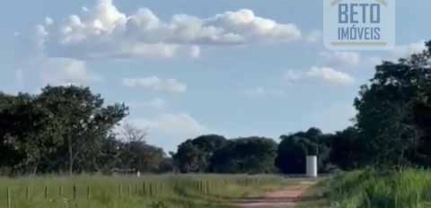 Excelente Fazenda à Venda 681 Alqueires Casa Sede e Pista de Pouso | Pintópolis/ MG Excelente Fazenda à Venda 681 Alqueires Casa Sede e Pista de Pouso | Pintópolis/ MG