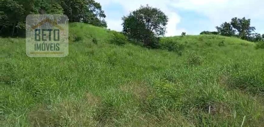 Agronegócio em Goiás: Fazenda à Venda 74 Alqueires Aptidão Diferentes Cultivos | Faina/ GO