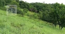 Agronegócio em Goiás: Fazenda à Venda 74 Alqueires Aptidão Diferentes Cultivos | Faina/ GO