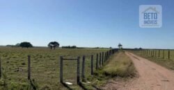 Venda de Fazenda Dupla Aptidão 50 Alqueires – Agricultura e Pecuária | Quissamã/ RJ Venda de Fazenda Dupla Aptidão 50 Alqueires – Agricultura e Pecuária | Quissamã/ RJ