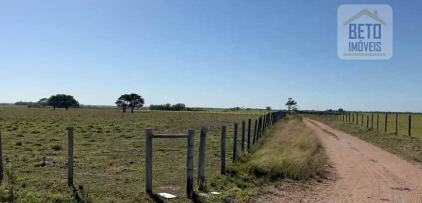 Venda de Fazenda Dupla Aptidão 50 Alqueires – Agricultura e Pecuária | Quissamã/ RJ Venda de Fazenda Dupla Aptidão 50 Alqueires – Agricultura e Pecuária | Quissamã/ RJ