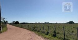 Venda de Fazenda Dupla Aptidão 50 Alqueires – Agricultura e Pecuária | Quissamã/ RJ Venda de Fazenda Dupla Aptidão 50 Alqueires – Agricultura e Pecuária | Quissamã/ RJ