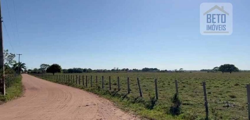 Venda de Fazenda Dupla Aptidão 50 Alqueires – Agricultura e Pecuária | Quissamã/ RJ Venda de Fazenda Dupla Aptidão 50 Alqueires – Agricultura e Pecuária | Quissamã/ RJ