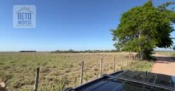 Venda de Fazenda Dupla Aptidão 50 Alqueires – Agricultura e Pecuária | Quissamã/ RJ Venda de Fazenda Dupla Aptidão 50 Alqueires – Agricultura e Pecuária | Quissamã/ RJ