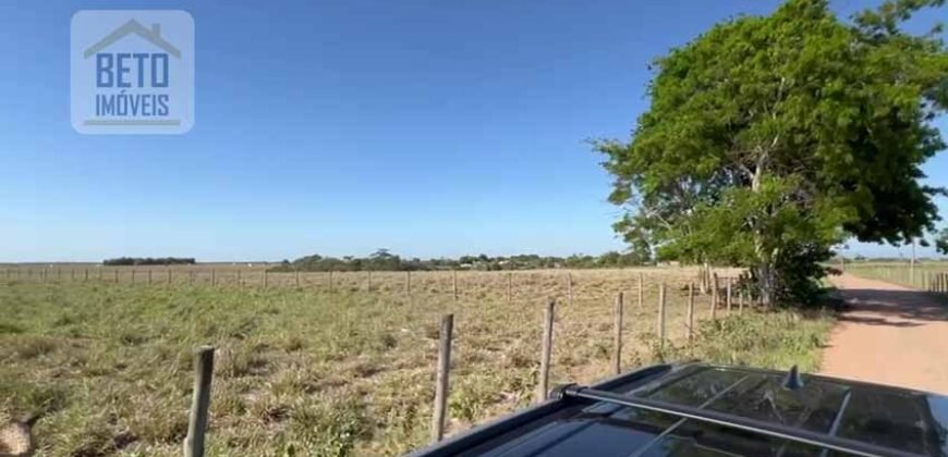 Venda de Fazenda Dupla Aptidão 50 Alqueires – Agricultura e Pecuária | Quissamã/ RJ Venda de Fazenda Dupla Aptidão 50 Alqueires – Agricultura e Pecuária | Quissamã/ RJ