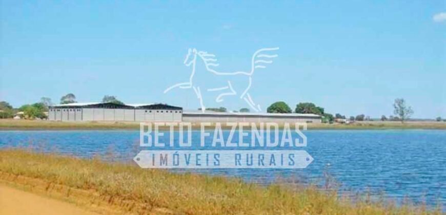 Fazenda Dupla Aptidão 11.829 hectares com Infraestrutura Completa à Venda | Jussara-GO