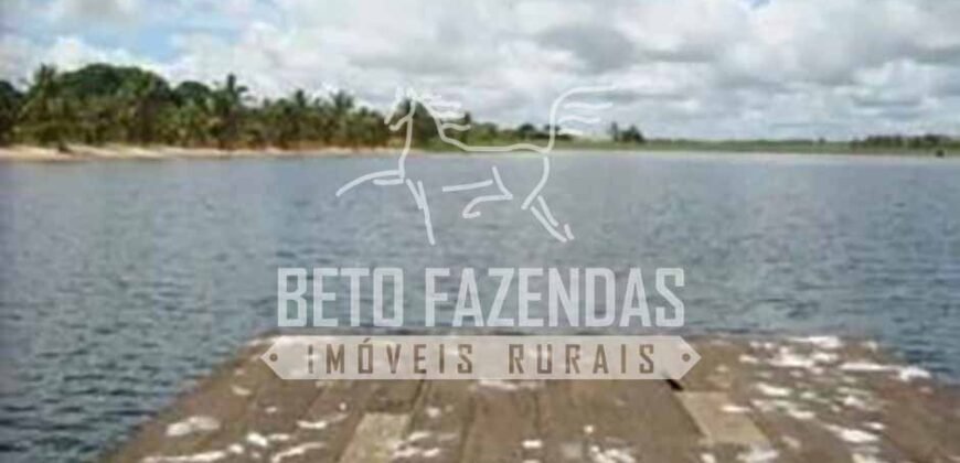 Fazenda Dupla Aptidão 11.829 hectares com Infraestrutura Completa à Venda | Jussara-GO