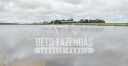 Fazenda Dupla Aptidão 11.829 hectares com Infraestrutura Completa à Venda | Jussara-GO