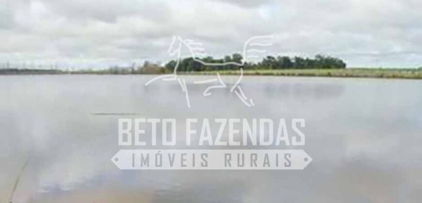 Fazenda Dupla Aptidão 11.829 hectares com Infraestrutura Completa à Venda | Jussara-GO
