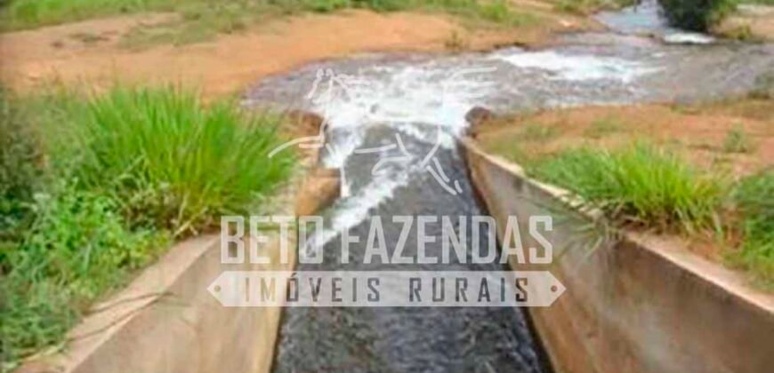 Fazenda Dupla Aptidão 11.829 hectares com Infraestrutura Completa à Venda | Jussara-GO