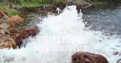 Fazenda Dupla Aptidão 11.829 hectares com Infraestrutura Completa à Venda | Jussara-GO