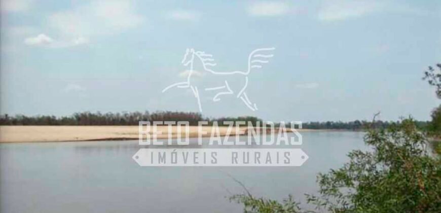 Fazenda Dupla Aptidão 11.829 hectares com Infraestrutura Completa à Venda | Jussara-GO
