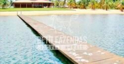 Fazenda Dupla Aptidão 11.829 hectares com Infraestrutura Completa à Venda | Jussara-GO