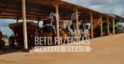 Fazenda Dupla Aptidão 11.829 hectares com Infraestrutura Completa à Venda | Jussara-GO