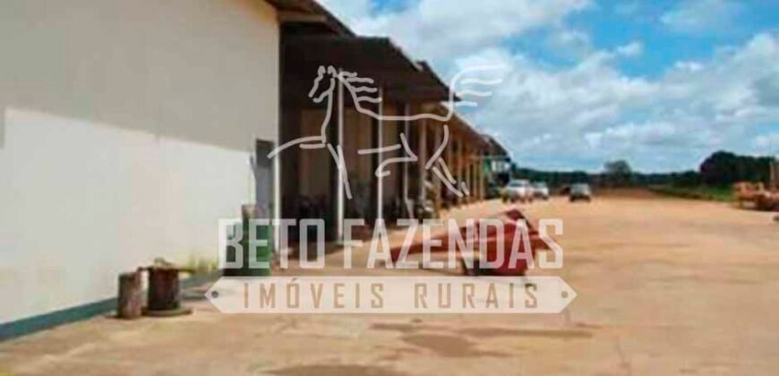 Fazenda Dupla Aptidão 11.829 hectares com Infraestrutura Completa à Venda | Jussara-GO