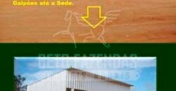 Fazenda Dupla Aptidão 11.829 hectares com Infraestrutura Completa à Venda | Jussara-GO