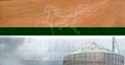 Fazenda Dupla Aptidão 11.829 hectares com Infraestrutura Completa à Venda | Jussara-GO