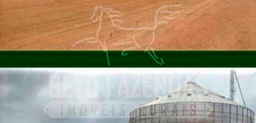 Fazenda Dupla Aptidão 11.829 hectares com Infraestrutura Completa à Venda | Jussara-GO