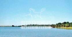 Fazenda Dupla Aptidão 11.829 hectares com Infraestrutura Completa à Venda | Jussara-GO