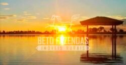 Fazenda Dupla Aptidão 11.829 hectares com Infraestrutura Completa à Venda | Jussara-GO