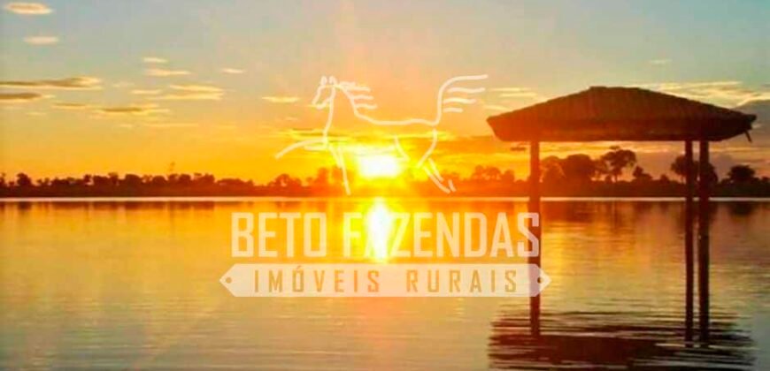 Fazenda Dupla Aptidão 11.829 hectares com Infraestrutura Completa à Venda | Jussara-GO