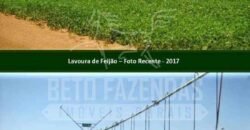 Fazenda Dupla Aptidão 11.829 hectares com Infraestrutura Completa à Venda | Jussara-GO