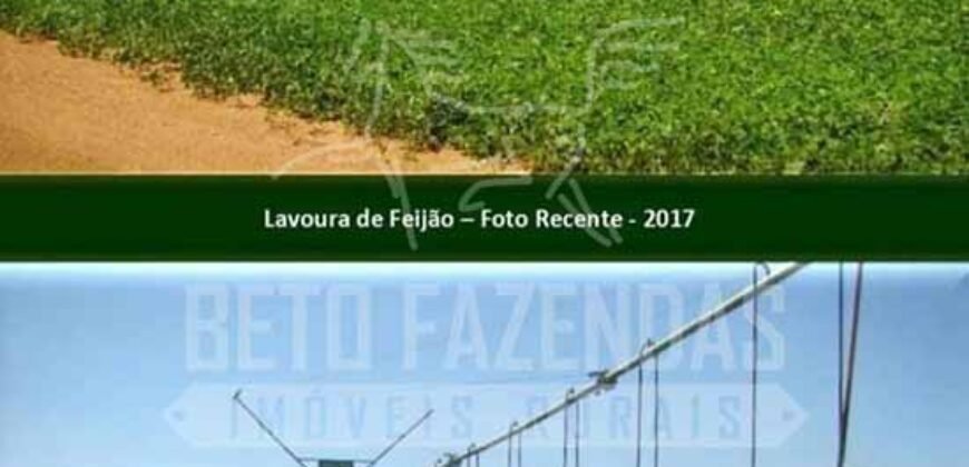 Fazenda Dupla Aptidão 11.829 hectares com Infraestrutura Completa à Venda | Jussara-GO