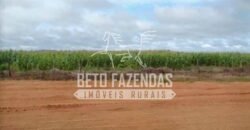 Fazenda Dupla Aptidão 11.829 hectares com Infraestrutura Completa à Venda | Jussara-GO
