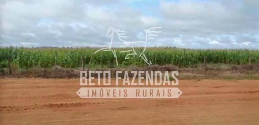 Fazenda Dupla Aptidão 11.829 hectares com Infraestrutura Completa à Venda | Jussara-GO