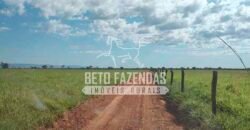 Fazenda à Venda 1.000 Alqueires Infra Completa e Pista de Pouso – Porteira Fechada  | Formosa/GO