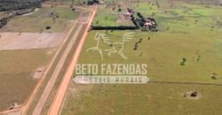 Fazenda à Venda 1.000 Alqueires Infra Completa e Pista de Pouso – Porteira Fechada  | Formosa/GO