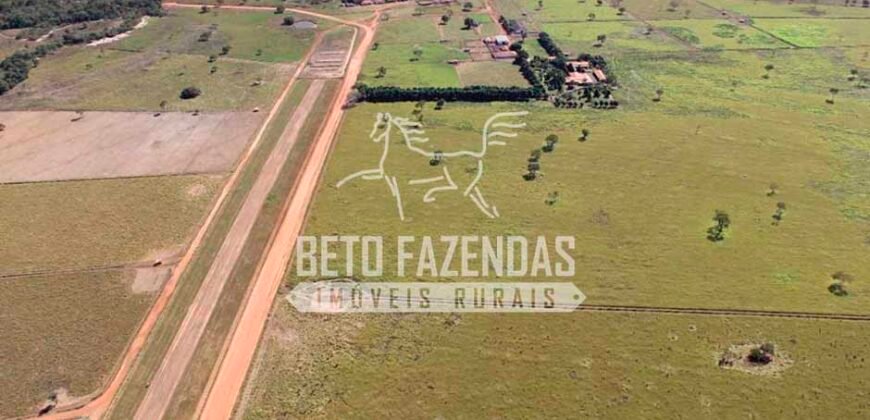 Fazenda à Venda 1.000 Alqueires Infra Completa e Pista de Pouso – Porteira Fechada  | Formosa/GO