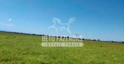 Fazenda à Venda 1.000 Alqueires Infra Completa e Pista de Pouso – Porteira Fechada  | Formosa/GO