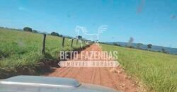 Fazenda à Venda 1.000 Alqueires Infra Completa e Pista de Pouso – Porteira Fechada  | Formosa/GO