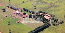 Fazenda à Venda 1.000 Alqueires Infra Completa e Pista de Pouso – Porteira Fechada  | Formosa/GO