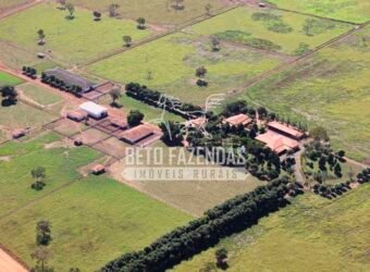 Fazenda à Venda 1.000 Alqueires Infra Completa e Pista de Pouso – Porteira Fechada  | Formosa/GO