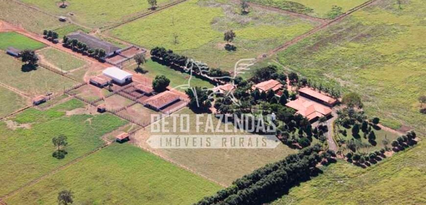 Fazenda à Venda 1.000 Alqueires Infra Completa e Pista de Pouso – Porteira Fechada  | Formosa/GO