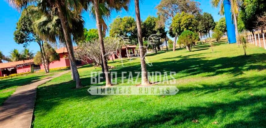 Fazenda à Venda 1.000 Alqueires Infra Completa e Pista de Pouso – Porteira Fechada  | Formosa/GO