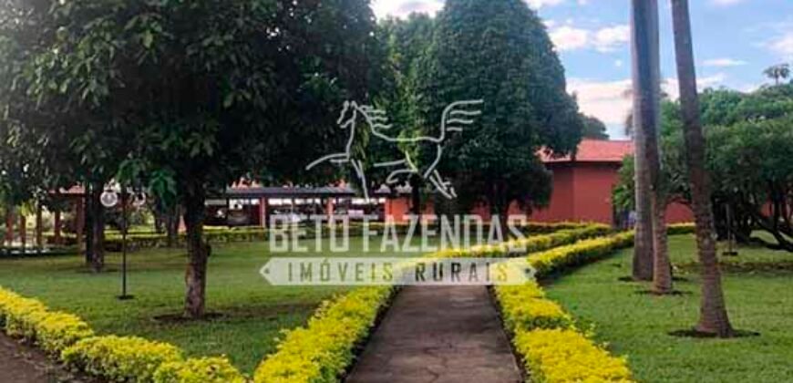Fazenda à Venda 1.000 Alqueires Infra Completa e Pista de Pouso – Porteira Fechada  | Formosa/GO