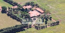 Fazenda à Venda 1.000 Alqueires Infra Completa e Pista de Pouso – Porteira Fechada  | Formosa/GO