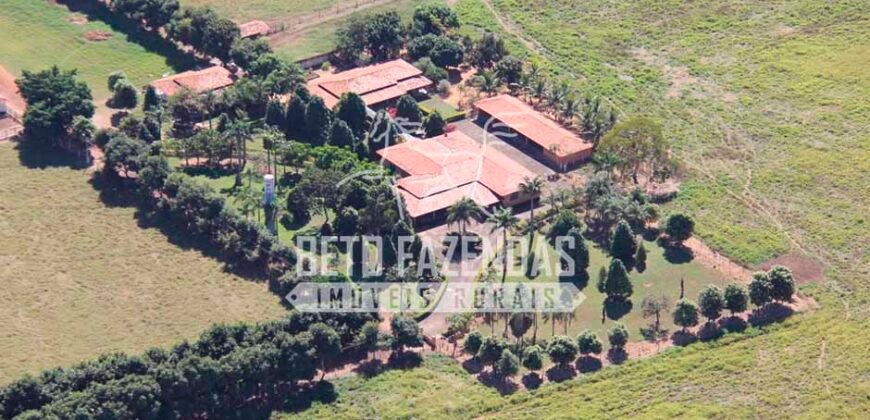 Fazenda à Venda 1.000 Alqueires Infra Completa e Pista de Pouso – Porteira Fechada  | Formosa/GO