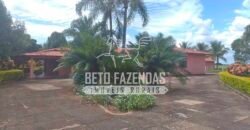 Fazenda à Venda 1.000 Alqueires Infra Completa e Pista de Pouso – Porteira Fechada  | Formosa/GO