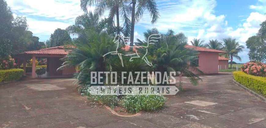 Fazenda à Venda 1.000 Alqueires Infra Completa e Pista de Pouso – Porteira Fechada  | Formosa/GO