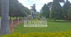 Fazenda à Venda 1.000 Alqueires Infra Completa e Pista de Pouso – Porteira Fechada  | Formosa/GO