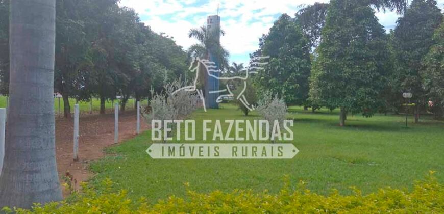 Fazenda à Venda 1.000 Alqueires Infra Completa e Pista de Pouso – Porteira Fechada  | Formosa/GO